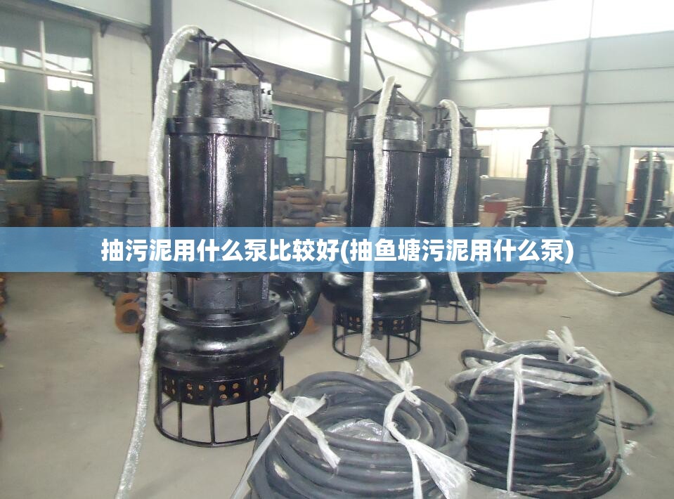 抽污泥用什么泵比较好(抽鱼塘污泥用什么泵)