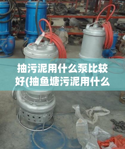 抽污泥用什么泵比较好(抽鱼塘污泥用什么泵)