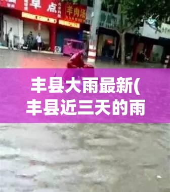 丰县大雨最新(丰县近三天的雨量)