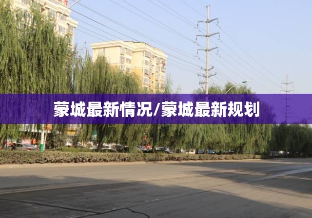 蒙城最新情况/蒙城最新规划