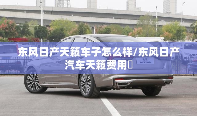 东风日产天籁车子怎么样/东风日产汽车天籁费用乚