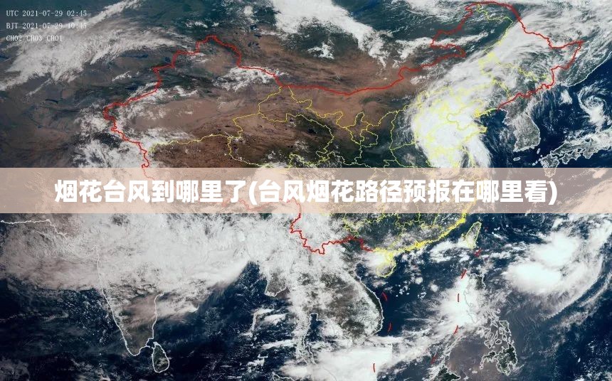 烟花台风到哪里了(台风烟花路径预报在哪里看)