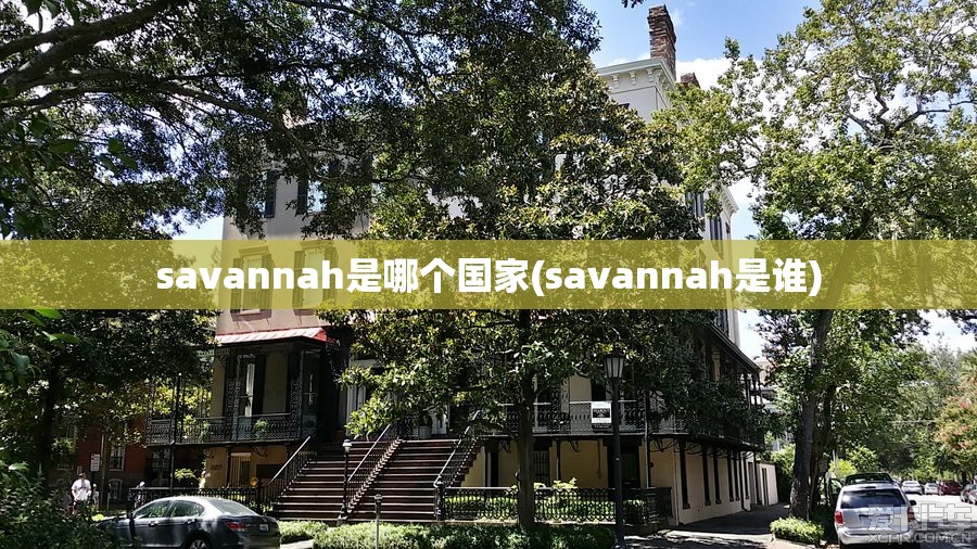 savannah是哪个国家(savannah是谁) savannah是哪个国家(savannah是谁)
