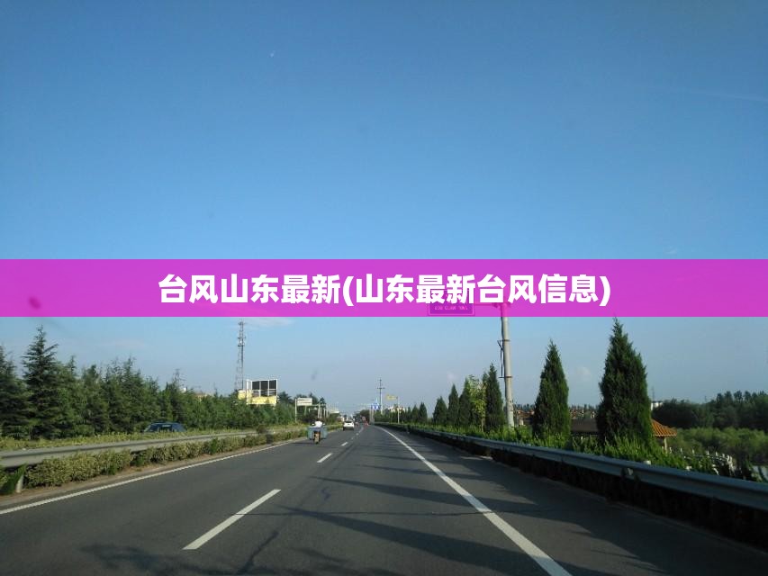台风山东最新(山东最新台风信息) 台风山东最新(山东最新台风信息)
