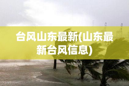 台风山东最新(山东最新台风信息) 台风山东最新(山东最新台风信息)