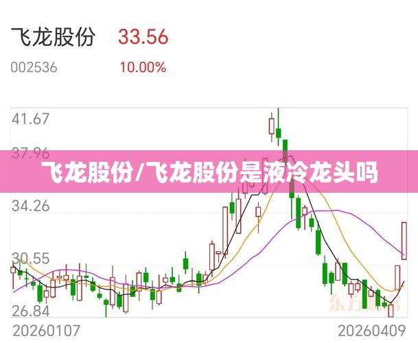 飞龙股份/飞龙股份是液冷龙头吗