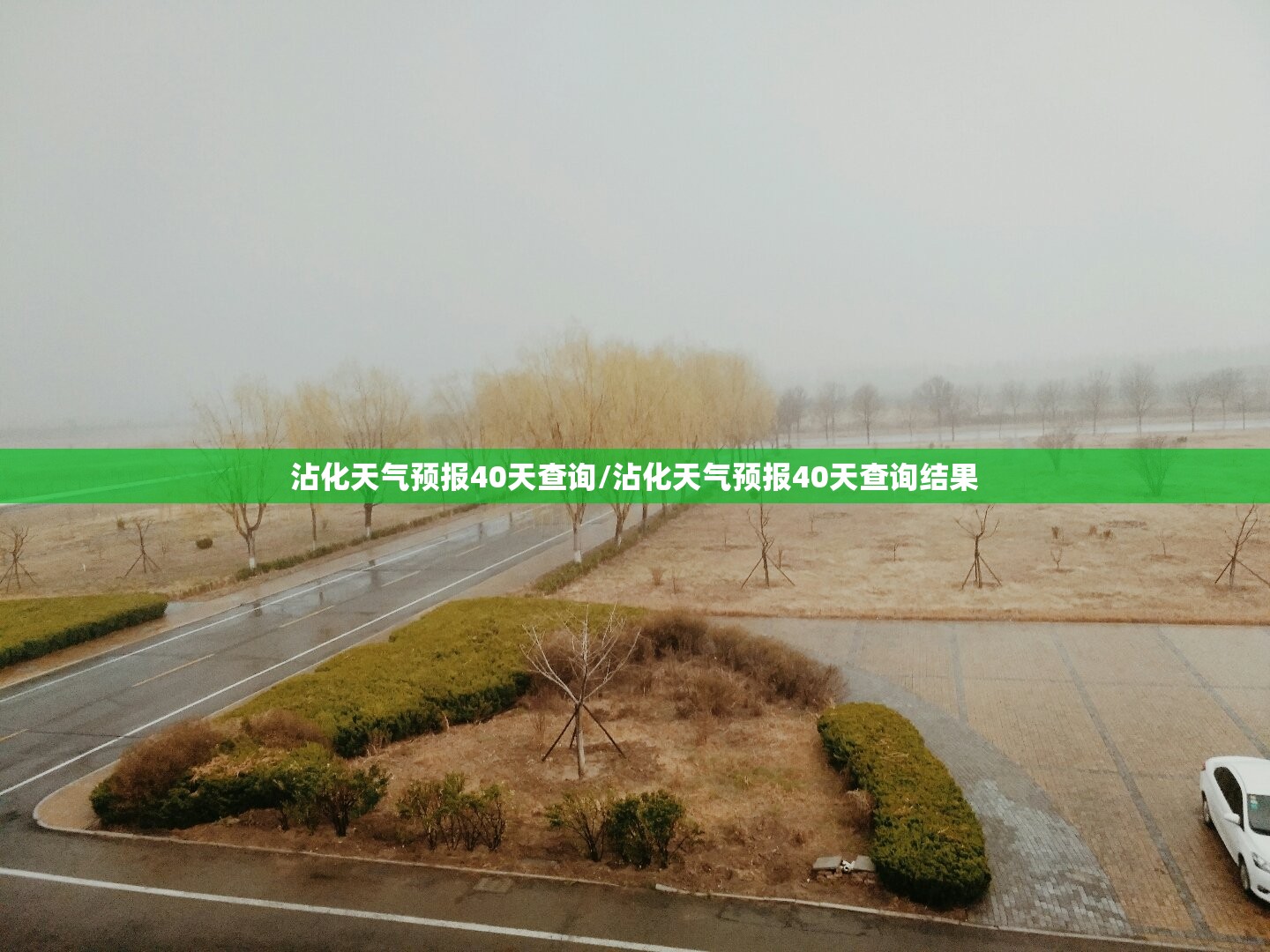 沾化天气预报40天查询/沾化天气预报40天查询结果