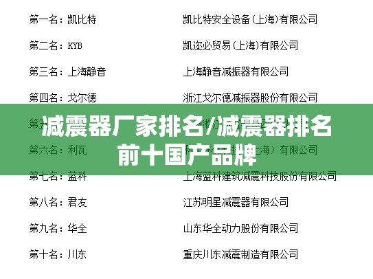 减震器厂家排名/减震器排名前十国产品牌 减震器厂家排名/减震器排名前十国产品牌