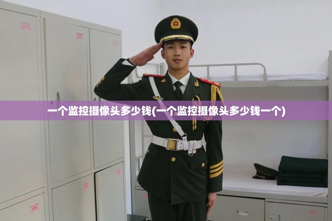 一个监控摄像头多少钱(一个监控摄像头多少钱一个)