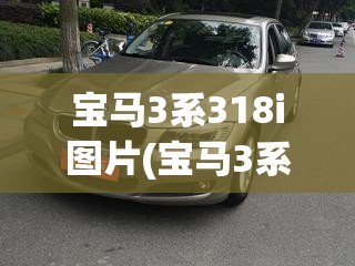 宝马3系318i图片(宝马3系318i后备箱)