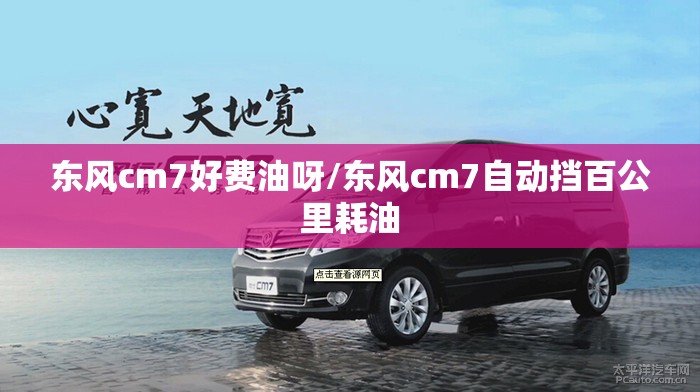 东风cm7好费油呀/东风cm7自动挡百公里耗油 东风cm7好费油呀/东风cm7自动挡百公里耗油