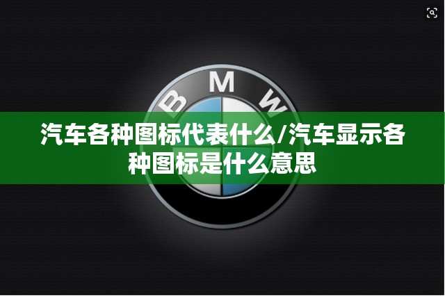 汽车各种图标代表什么/汽车显示各种图标是什么意思