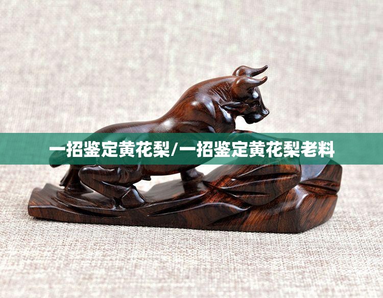 一招鉴定黄花梨/一招鉴定黄花梨老料