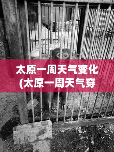 太原一周天气变化(太原一周天气穿衣建议) 太原一周天气变化(太原一周天气穿衣建议)