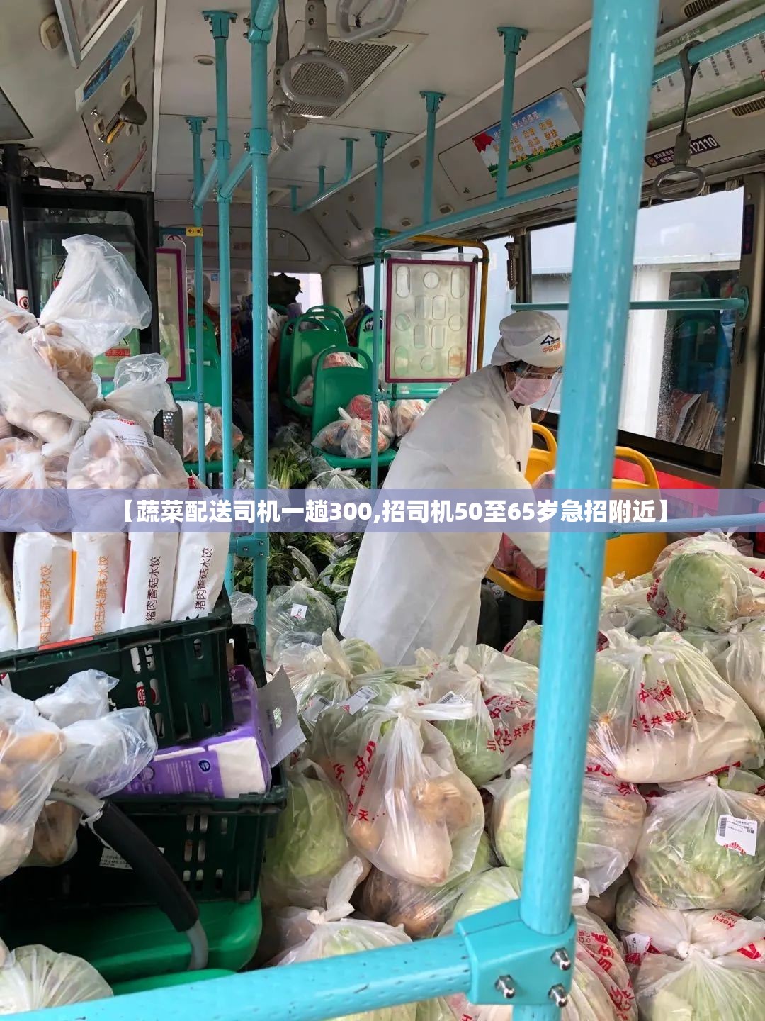 【蔬菜配送司机一趟300,招司机50至65岁急招附近】 【蔬菜配送司机一趟300,招司机50至65岁急招附近】