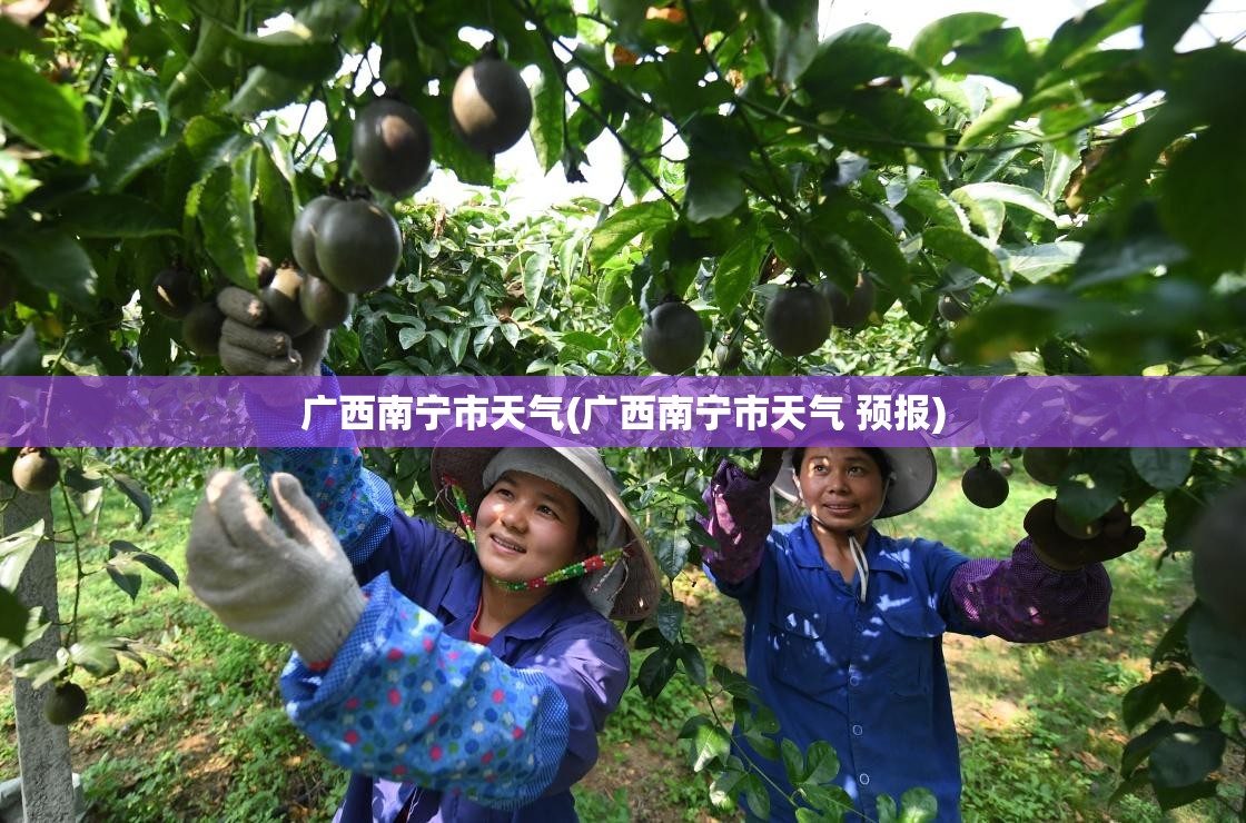 广西南宁市天气(广西南宁市天气 预报)