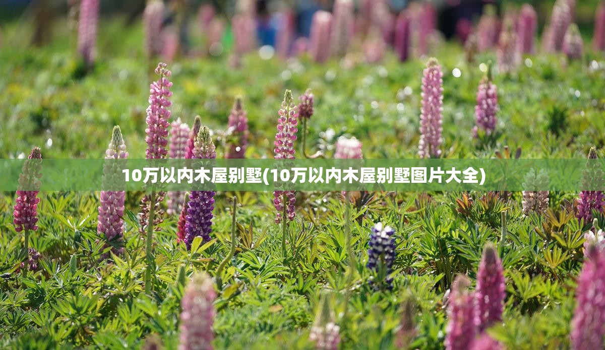 10万以内木屋别墅(10万以内木屋别墅图片大全) 10万以内木屋别墅(10万以内木屋别墅图片大全)