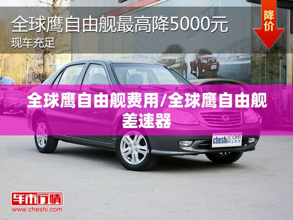 全球鹰自由舰费用/全球鹰自由舰差速器
