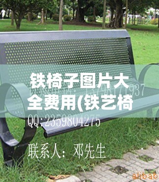 铁椅子图片大全费用(铁艺椅子图片大全) 铁椅子图片大全费用(铁艺椅子图片大全)