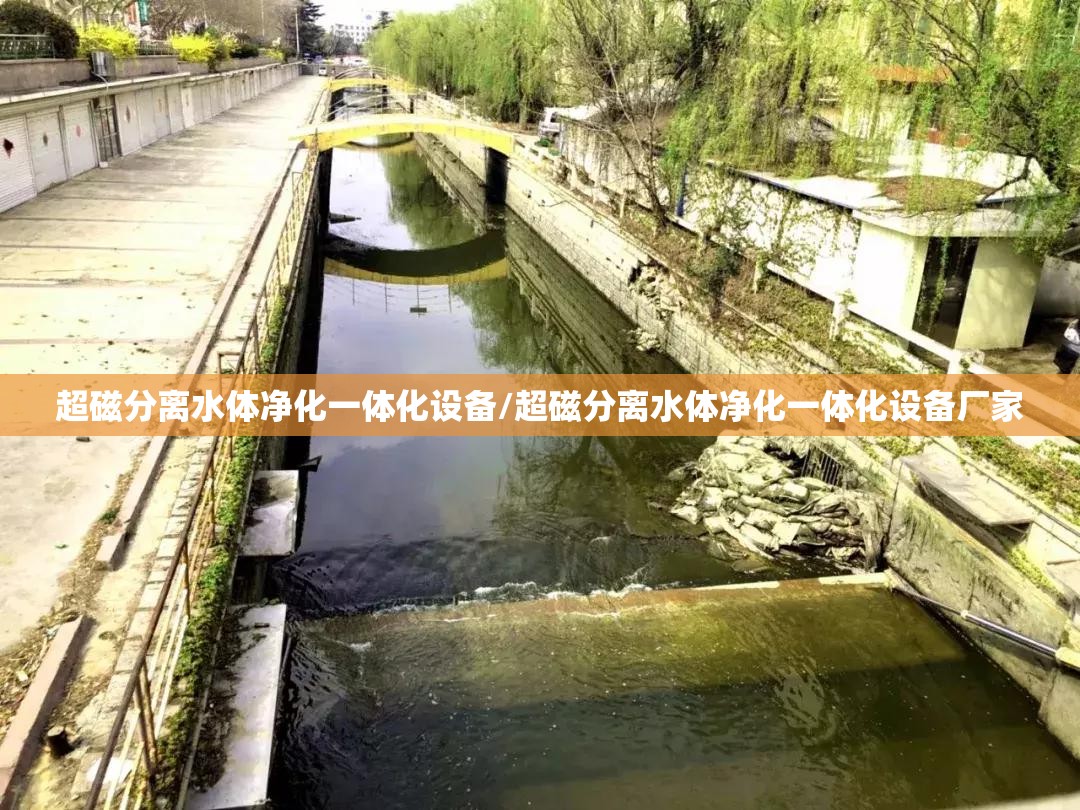 超磁分离水体净化一体化设备/超磁分离水体净化一体化设备厂家