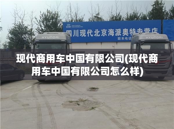 现代商用车中国有限公司(现代商用车中国有限公司怎么样) 现代商用车中国有限公司(现代商用车中国有限公司怎么样)