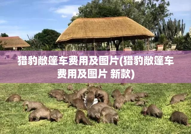 猎豹敞篷车费用及图片(猎豹敞篷车费用及图片 新款) 猎豹敞篷车费用及图片(猎豹敞篷车费用及图片 新款)