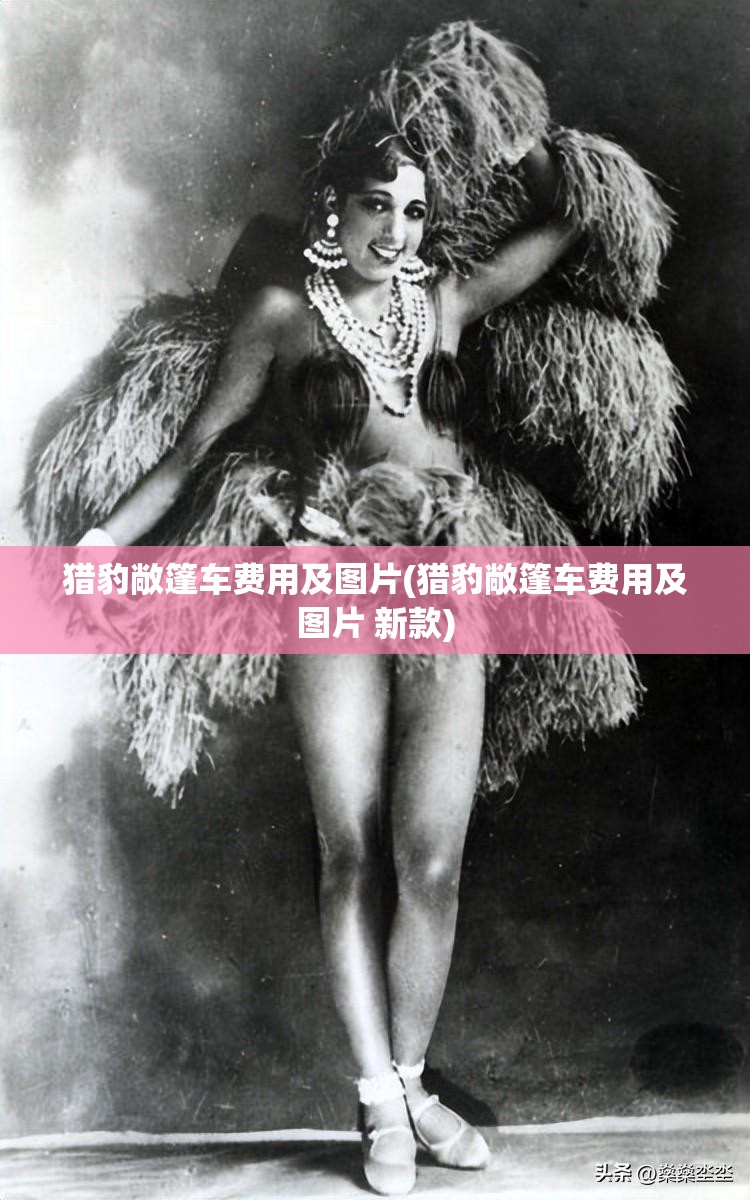 猎豹敞篷车费用及图片(猎豹敞篷车费用及图片 新款) 猎豹敞篷车费用及图片(猎豹敞篷车费用及图片 新款)