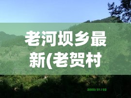 老河坝乡最新(老贺村最新消息今天) 老河坝乡最新(老贺村最新消息今天)