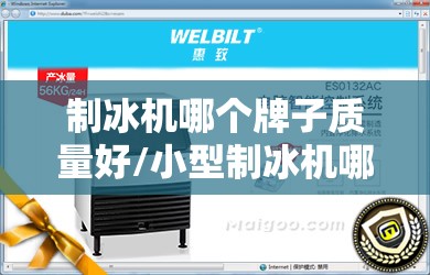 制冰机哪个牌子质量好/小型制冰机哪个牌子质量好