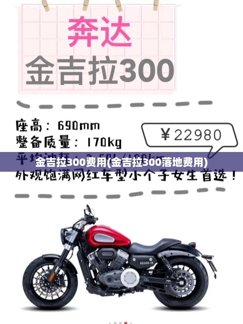 金吉拉300费用(金吉拉300落地费用)