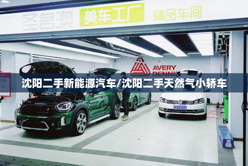 沈阳二手新能源汽车/沈阳二手天然气小轿车