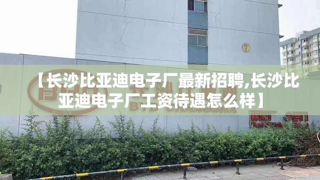 【长沙比亚迪电子厂最新招聘,长沙比亚迪电子厂工资待遇怎么样】