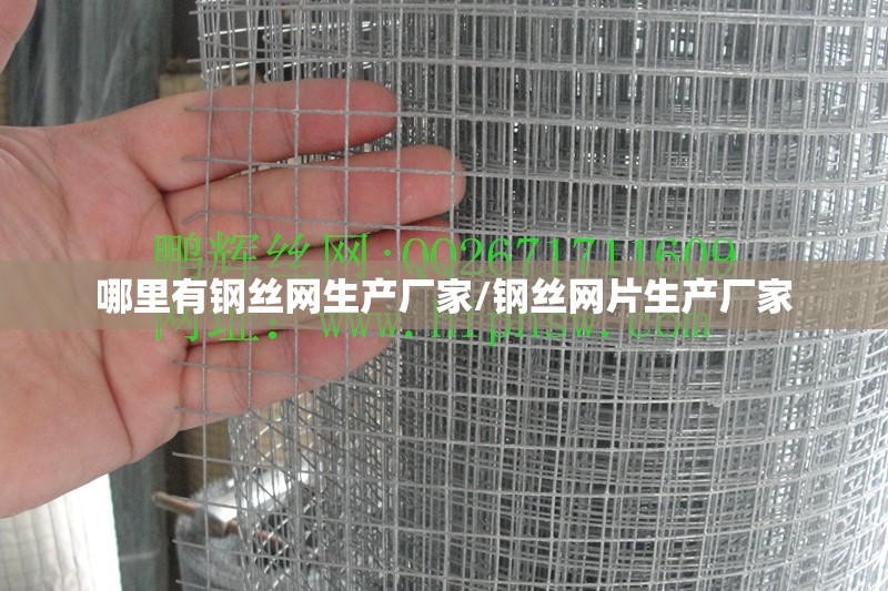 哪里有钢丝网生产厂家/钢丝网片生产厂家