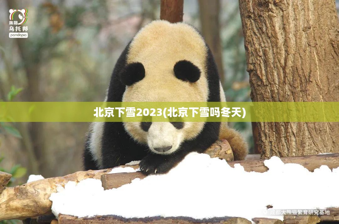 北京下雪2023(北京下雪吗冬天) 北京下雪2023(北京下雪吗冬天)