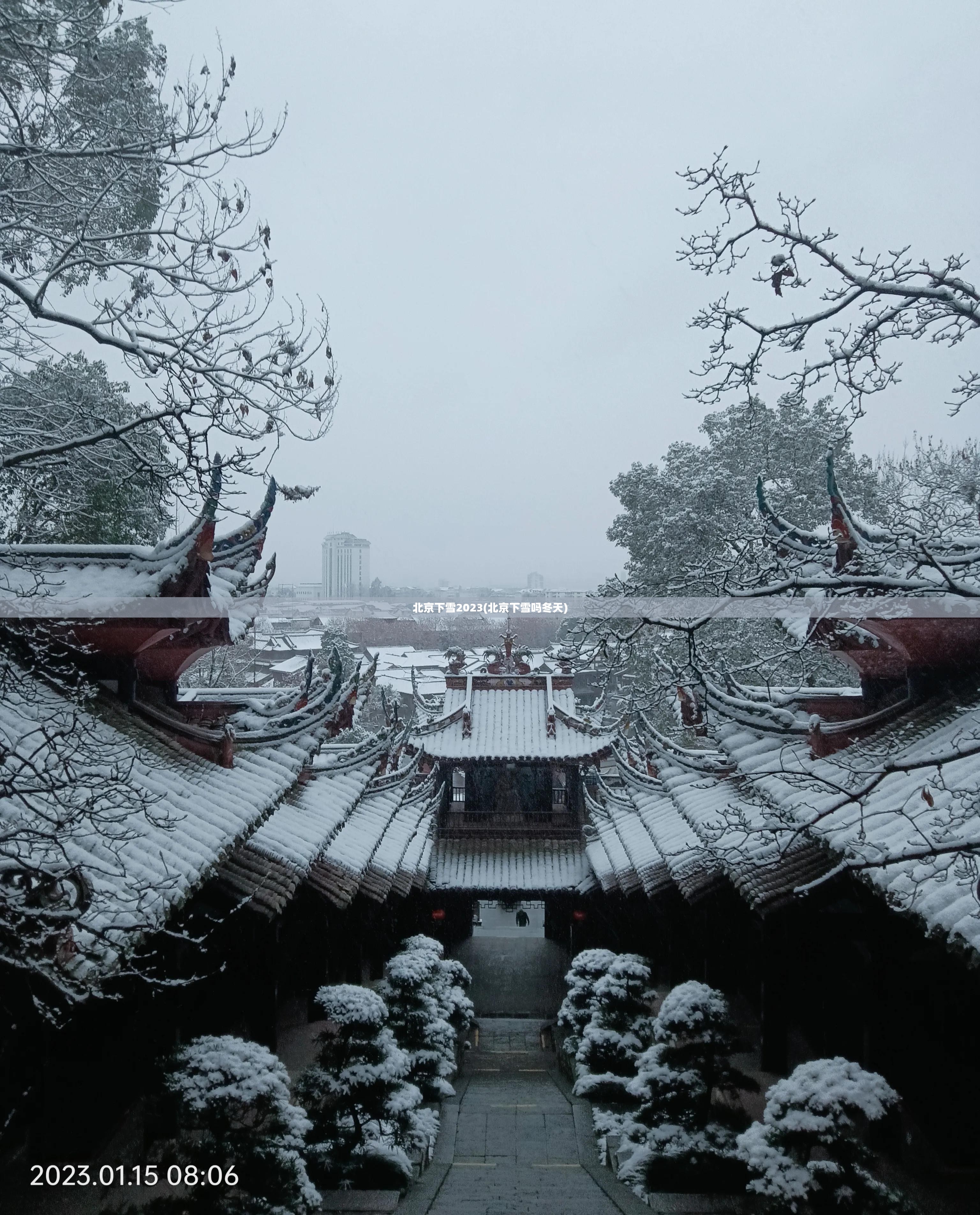 北京下雪2023(北京下雪吗冬天) 北京下雪2023(北京下雪吗冬天)