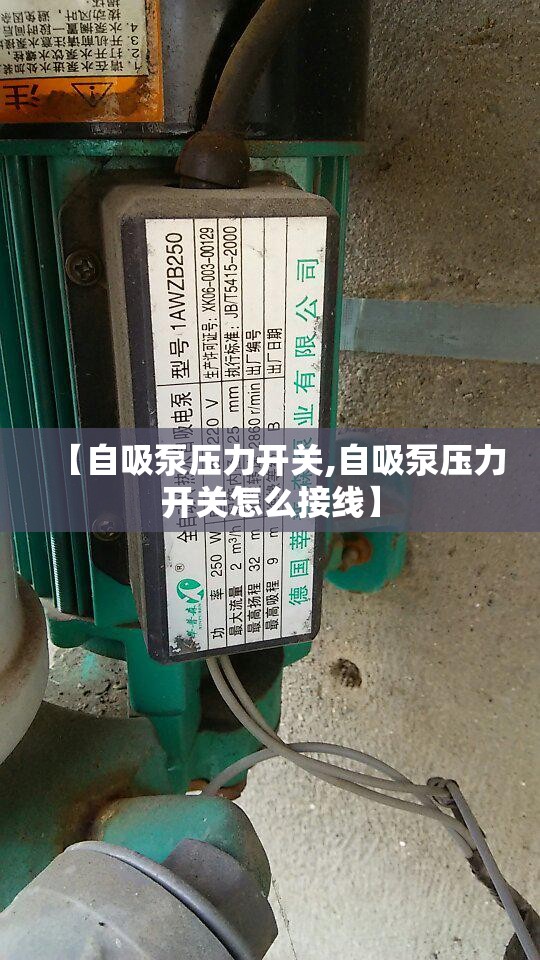 【自吸泵压力开关,自吸泵压力开关怎么接线】 【自吸泵压力开关,自吸泵压力开关怎么接线】