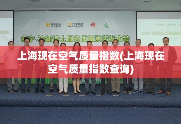 上海现在空气质量指数(上海现在空气质量指数查询)