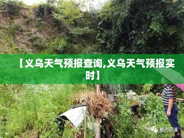 【义乌天气预报查询,义乌天气预报实时】 【义乌天气预报查询,义乌天气预报实时】