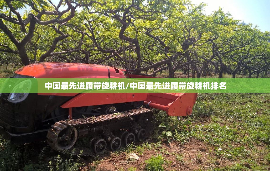 中国最先进履带旋耕机/中国最先进履带旋耕机排名 中国最先进履带旋耕机/中国最先进履带旋耕机排名