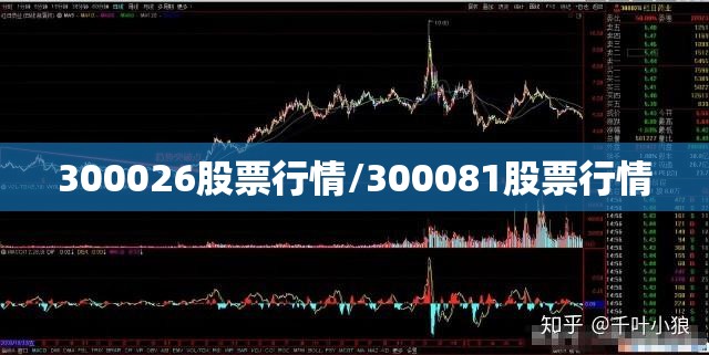 300026股票行情/300081股票行情 300026股票行情/300081股票行情