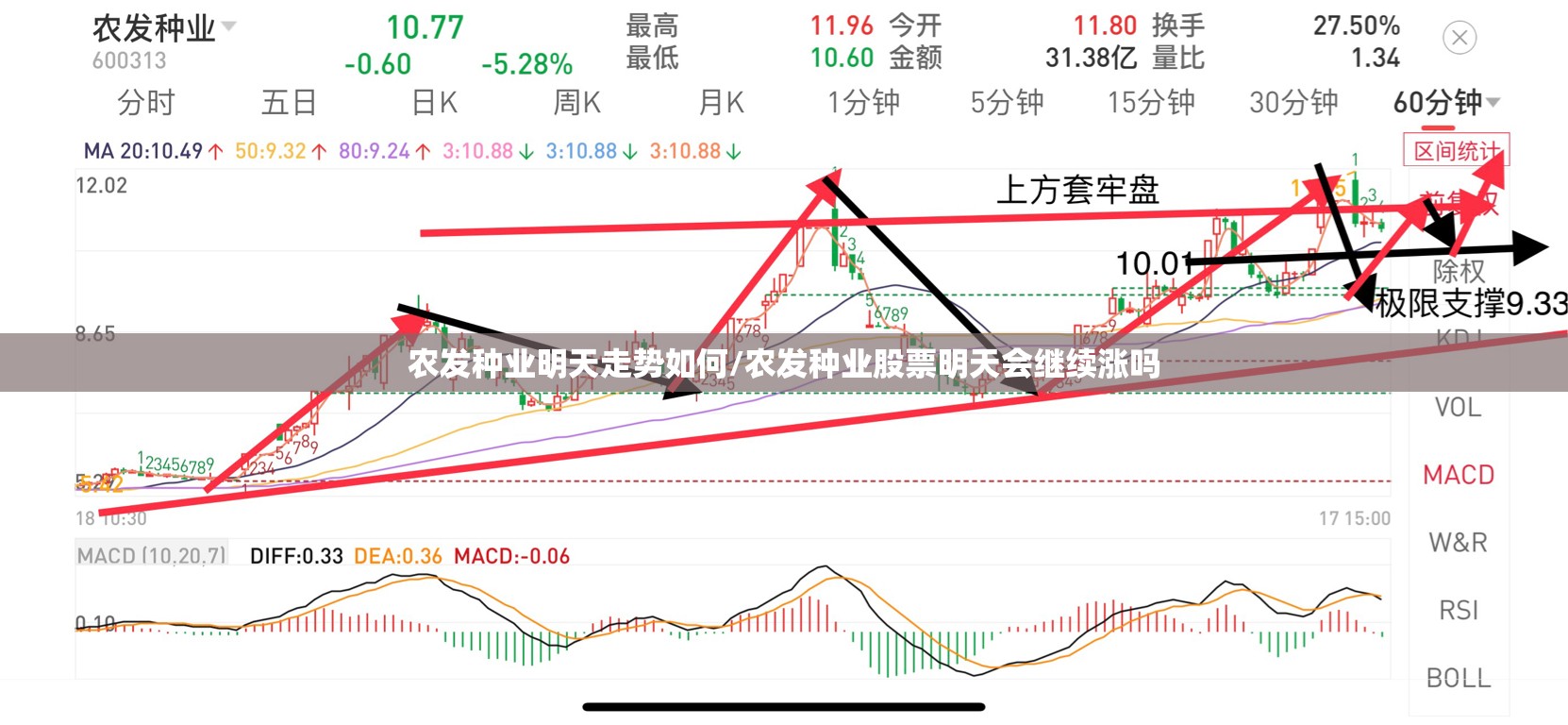 农发种业明天走势如何/农发种业股票明天会继续涨吗