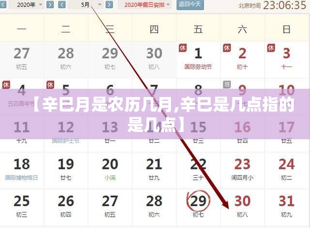 【辛巳月是农历几月,辛巳是几点指的是几点】