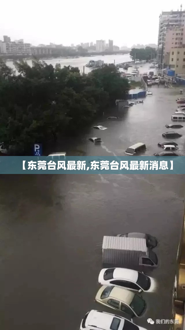 【东莞台风最新,东莞台风最新消息】