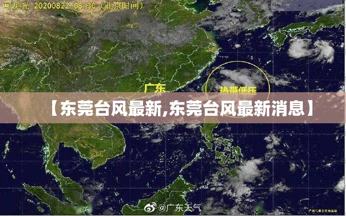 【东莞台风最新,东莞台风最新消息】