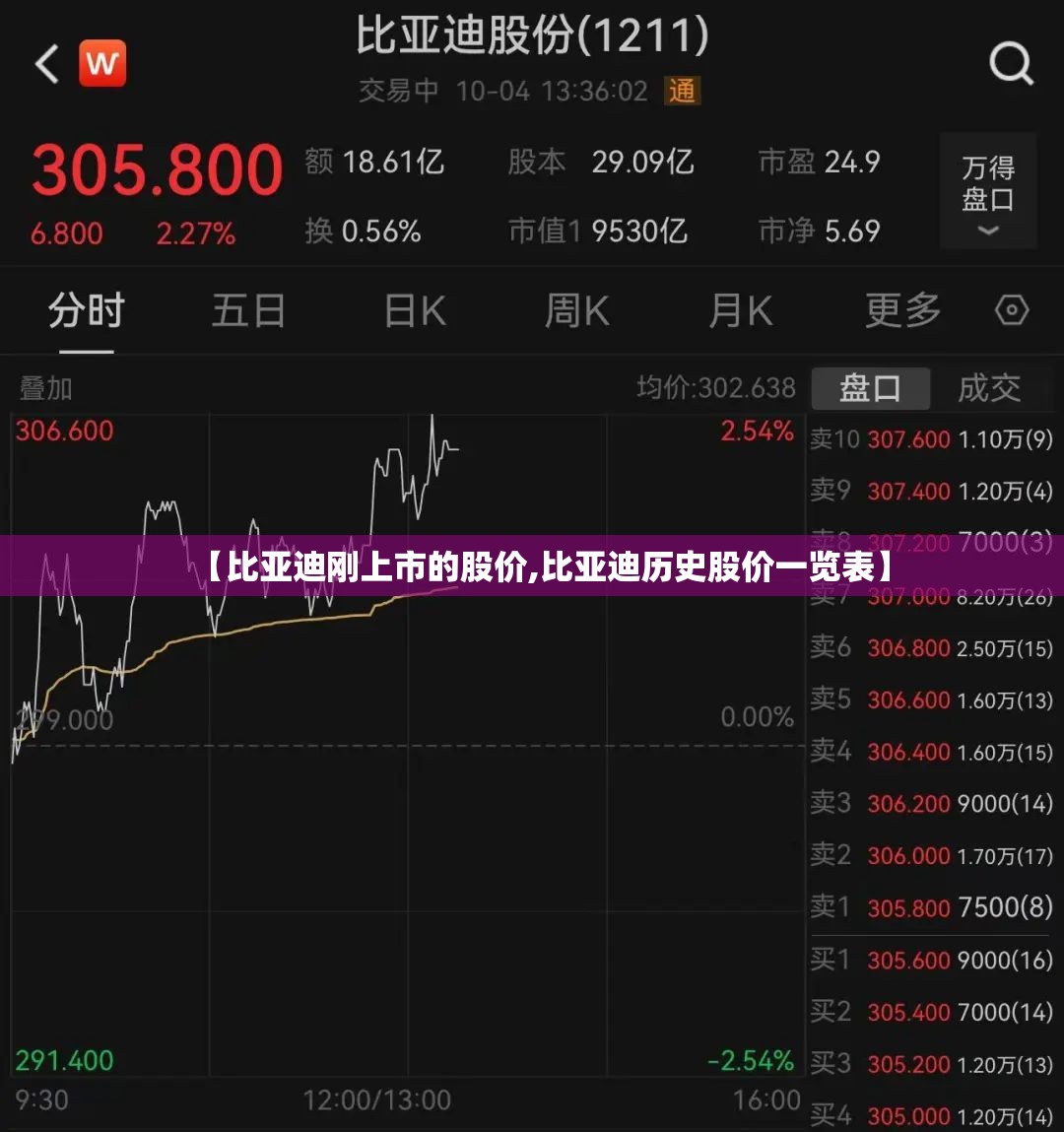 【比亚迪刚上市的股价,比亚迪历史股价一览表】