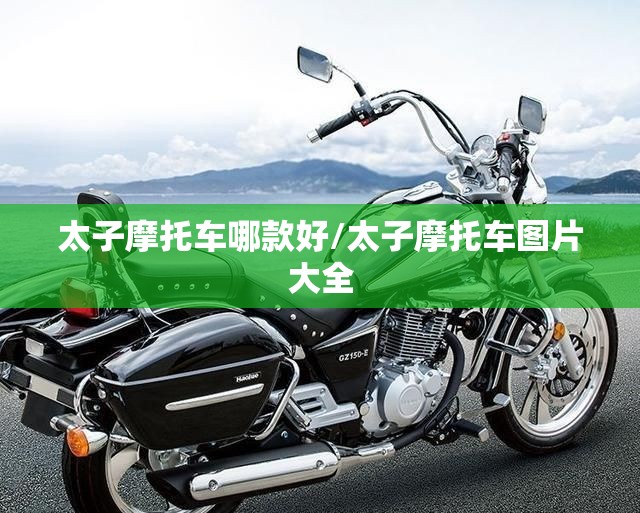 太子摩托车哪款好/太子摩托车图片大全 太子摩托车哪款好/太子摩托车图片大全