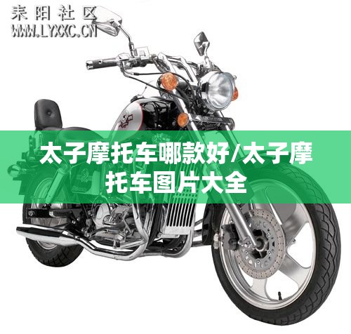 太子摩托车哪款好/太子摩托车图片大全 太子摩托车哪款好/太子摩托车图片大全