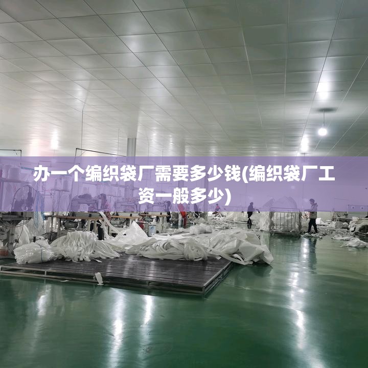 办一个编织袋厂需要多少钱(编织袋厂工资一般多少)
