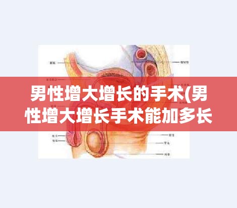男性增大增长的手术(男性增大增长手术能加多长)