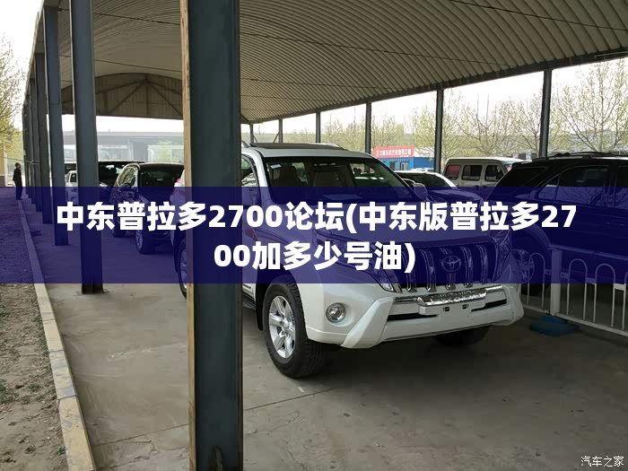 中东普拉多2700论坛(中东版普拉多2700加多少号油)